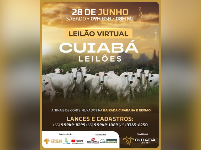 Leilão Virtual Cuiabá Leilões