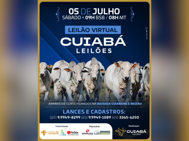 Leilão Virtual Cuiabá Leilões