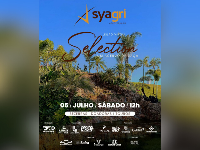 Leilão Virtual Selection