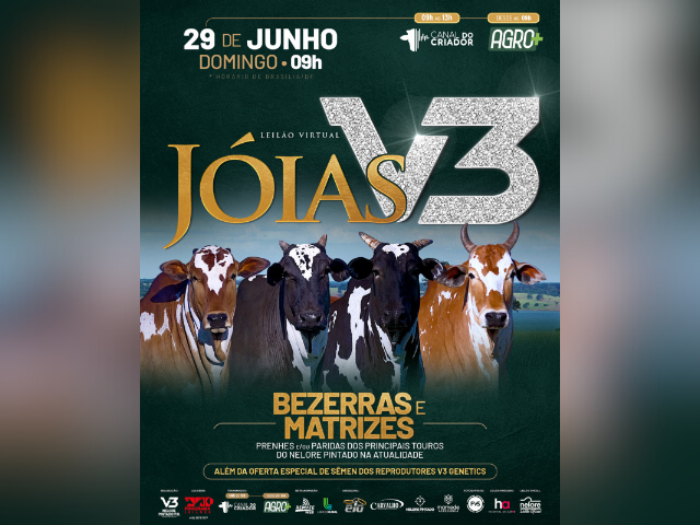 Leilão Virtual Jóias V3 – Bezerras e Matrizes