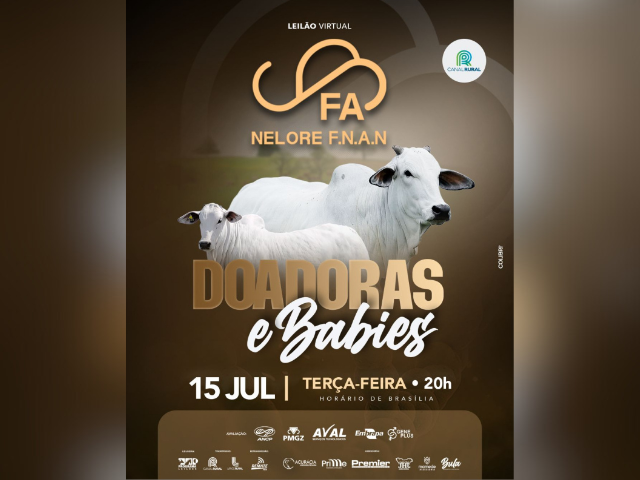 Leilão Virtual Nelore F.N.A.N – Doadoras e Babies