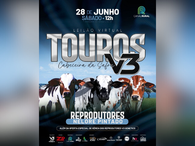 Leilão Virtual Touros V3 – Cabeceira da Safra