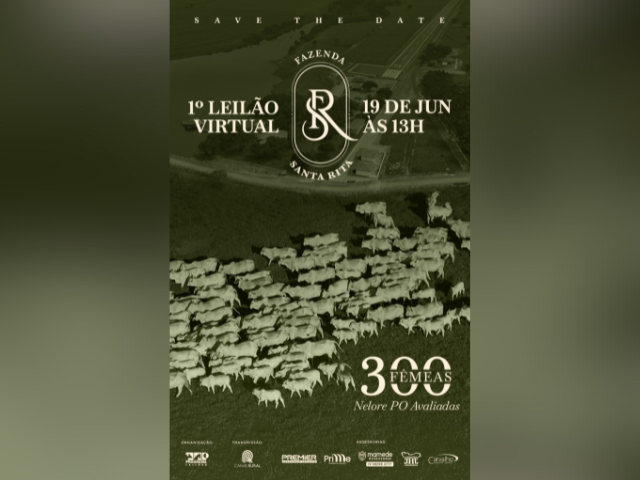 1° Leilão Virtual Fazenda Santa Rita – Fêmeas