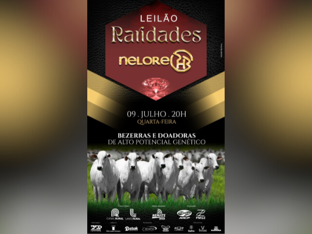 Leilão Raridade Nelore PHB – Bezerras e Doadoras