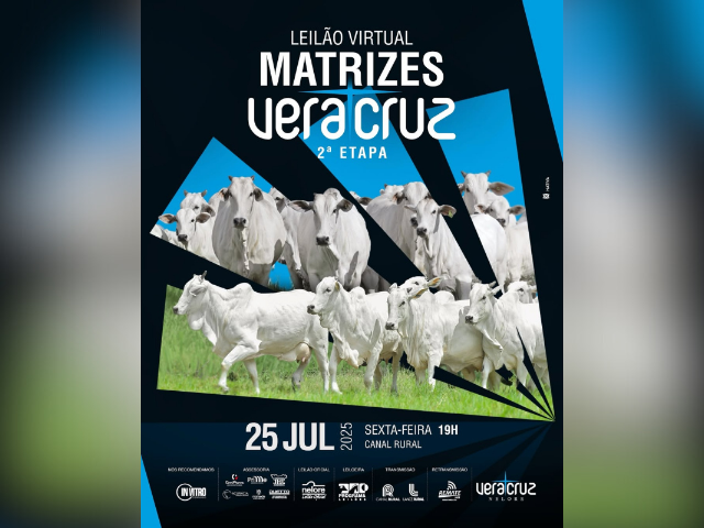 Leilão Virtual Matrizes Nelore Vera Cruz – 2ª Etapa