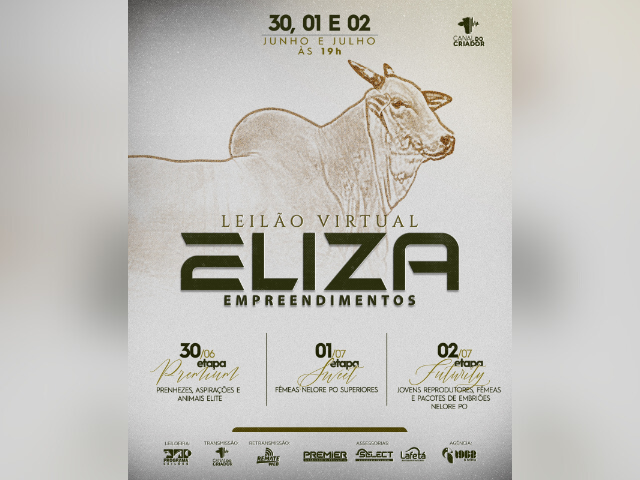 Leilão Virtual Eliza Empreendimentos – Etapa Sweet