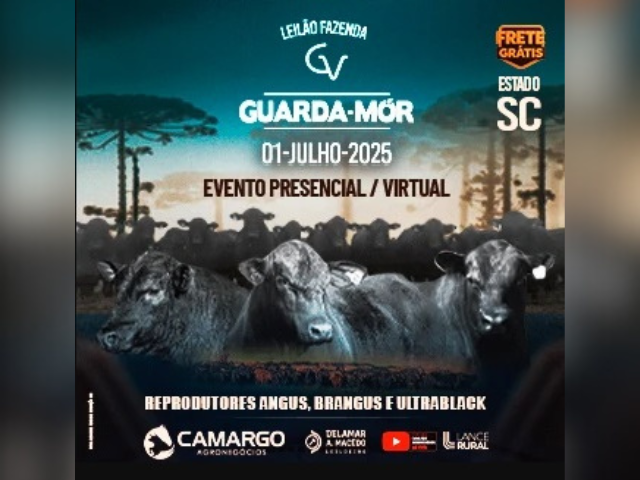 Leilão Fazenda Guarda Mor