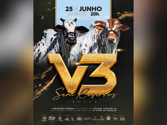 Leilão V3 – Sem Reservas Elite