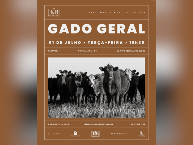 Remate Gado Geral TB