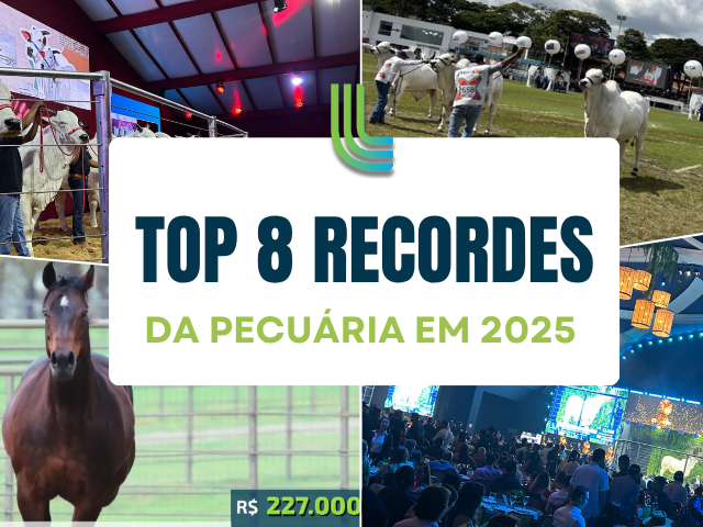 8 recordes da pecuária em 2025