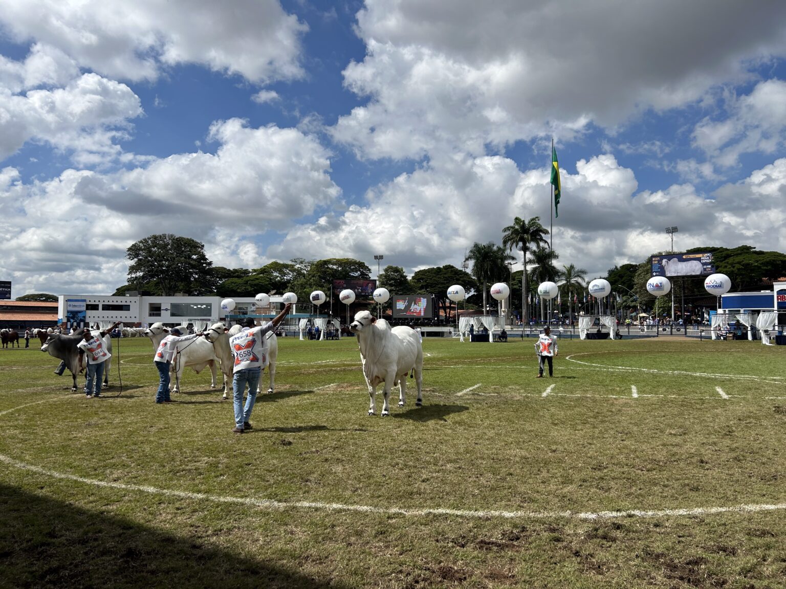 Expozebu 2025