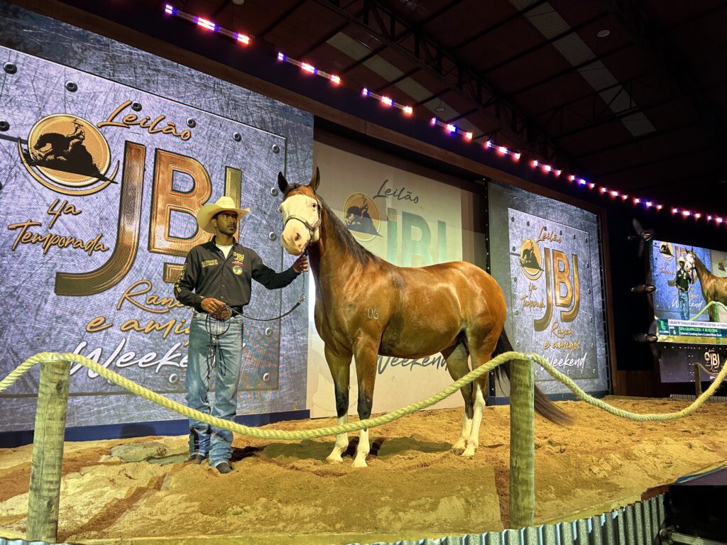 leilão JBJ Ranch 2025