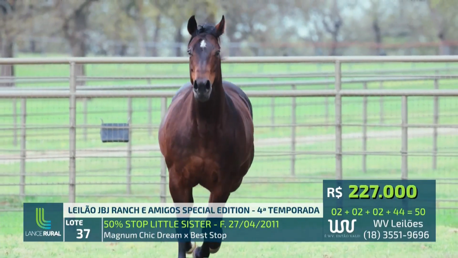 Recorde JBJ Ranch