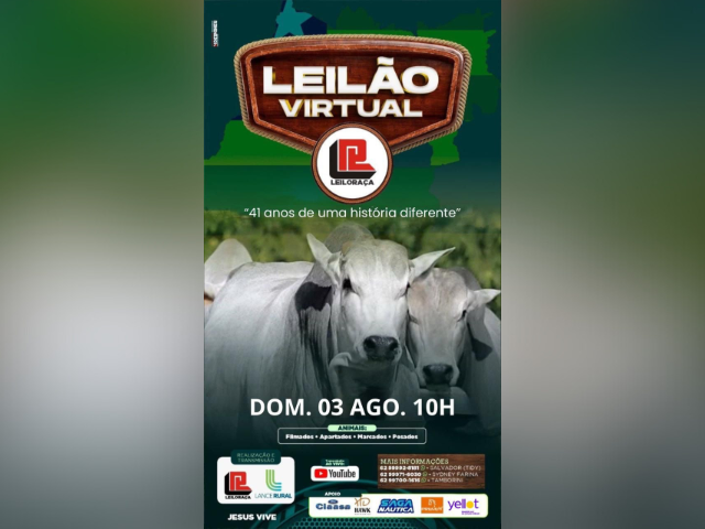 Leilão Virtual Leiloraça