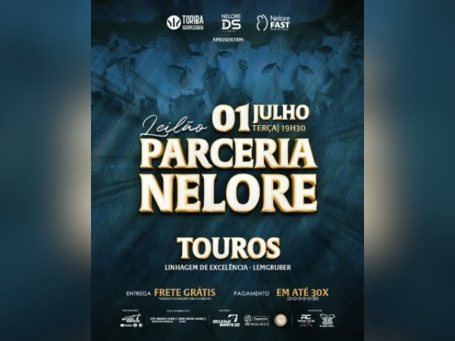 Leilão Parceria Nelore