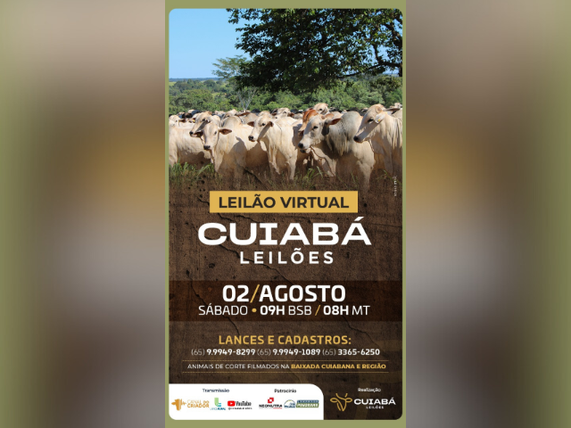 Leilão Virtual Cuiabá Leilões