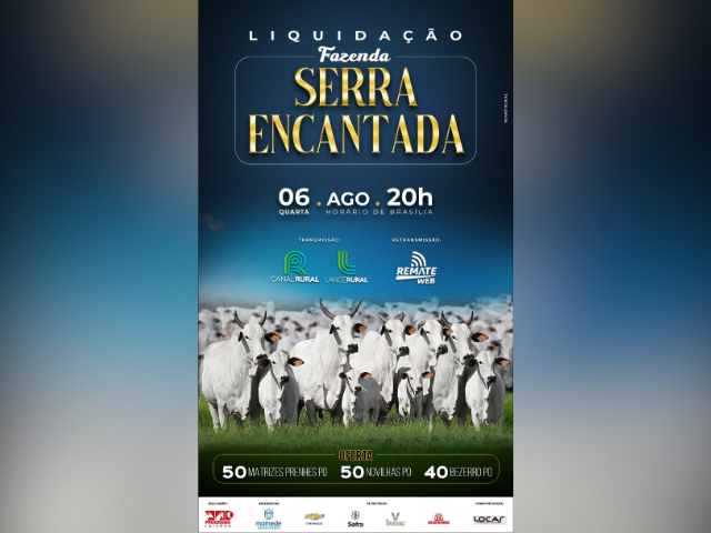 Leilão Liquidação Fazenda Serra Encantada