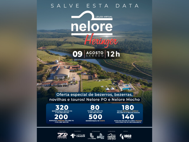 Leilão Virtual Nelore Heringer