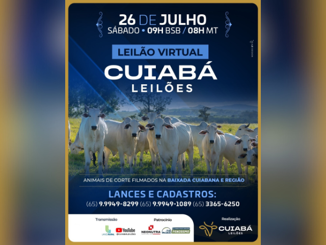 Leilão Virtual Cuiabá Leilões