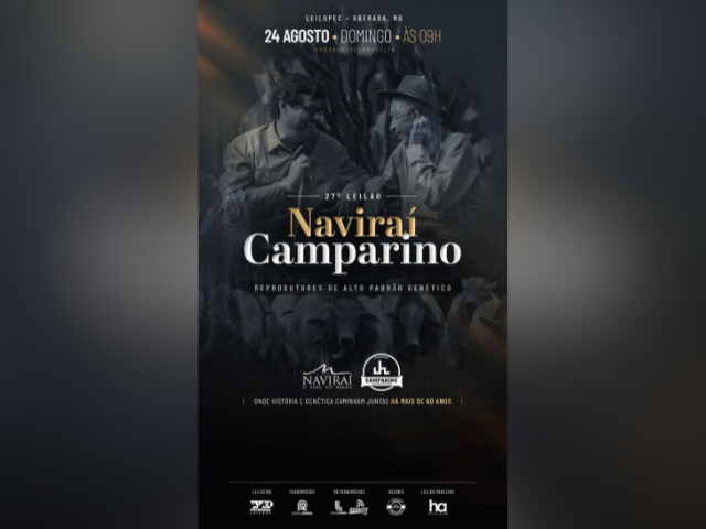 27° Leilão Naviraí Camparino – Reprodutores
