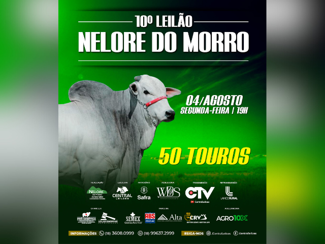 10º Leilão Nelore do Morro – Touros