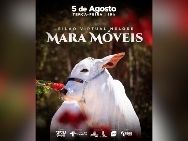 Leilão Virtual Nelore Mara Móveis