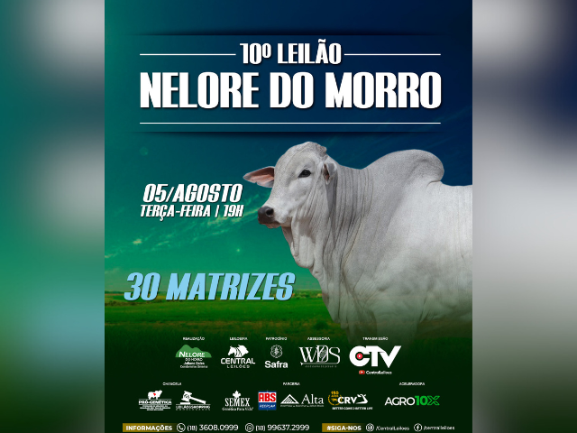 10º Leilão Nelore do Morro – Matrizes