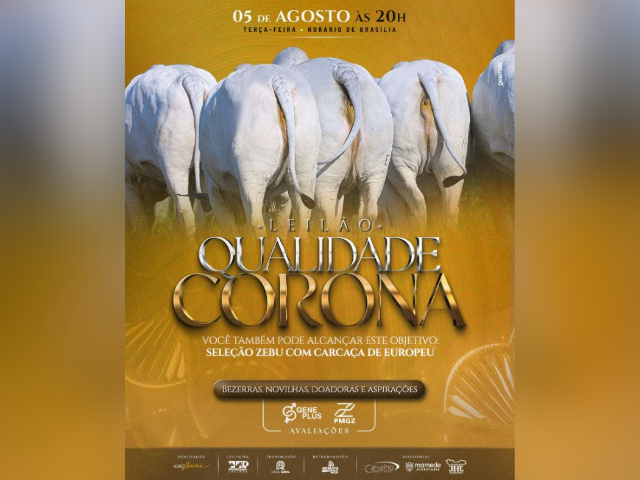 Leilão Qualidade Corona