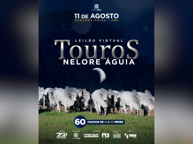 Leilão Virtual Touros Nelore Águia