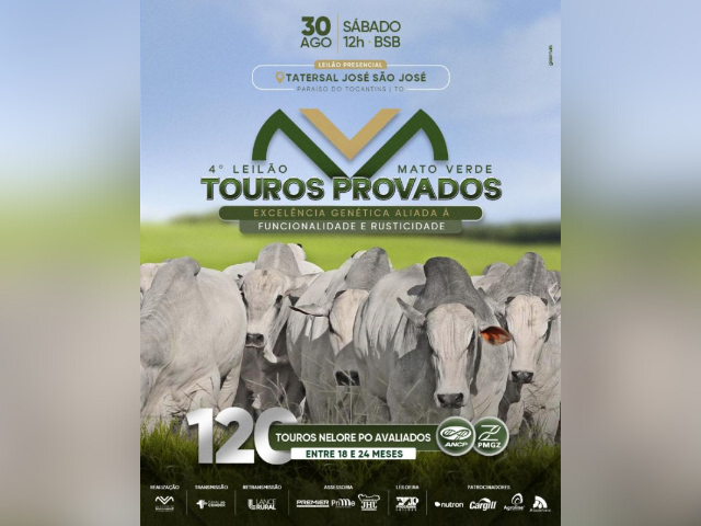 4º Leilão Mato Verde Touros Provados
