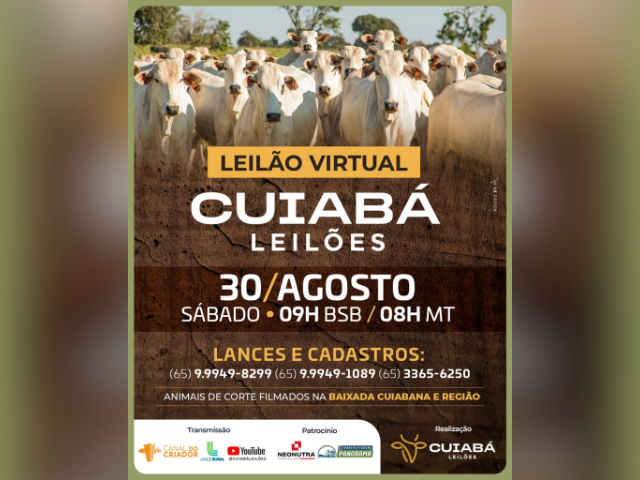 Leilão Virtual Cuiabá Leilões
