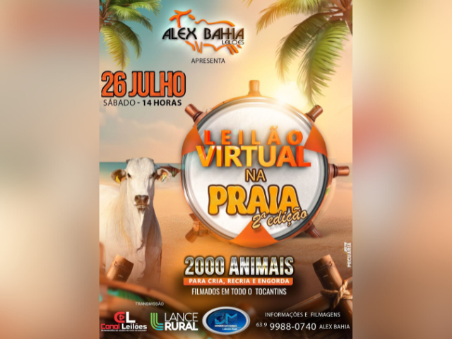 Leilão Virtual na Praia – 2ª Edição
