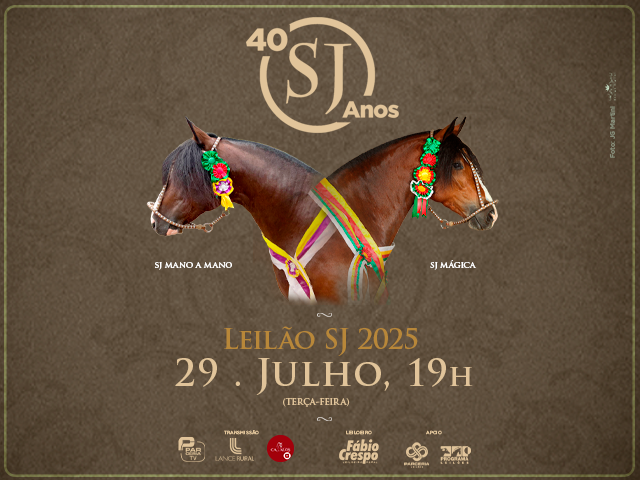 Leilão SJ 2025