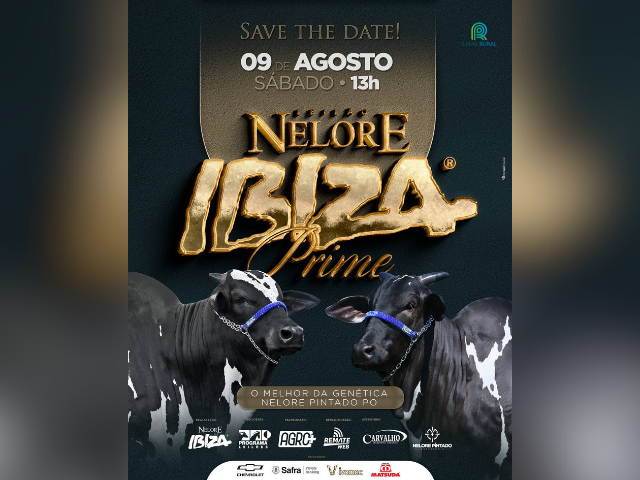 Leilão Nelore Ibiza Prime