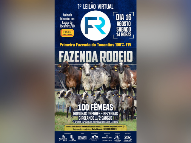 1º Leilão Virtual Fazenda Rodeio