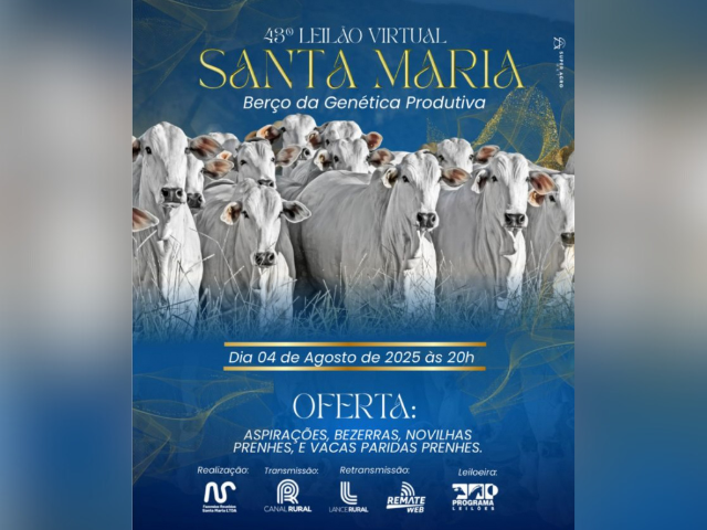 43º Leilão Virtual Santa Maria