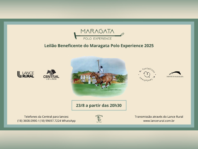 Leilão Beneficente Maragata Polo Experience em Prol do Projeto N. Tentativas