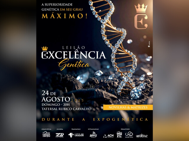Leilão Excelência Genética