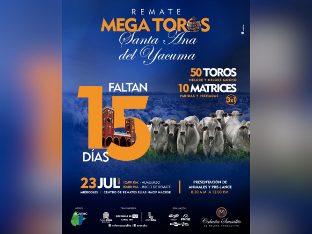 Remate Mega Toros Sausalito Santa Ana de Y.