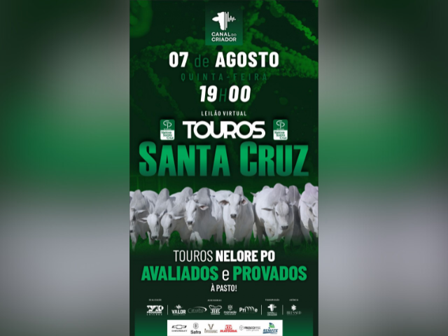Leilão Virtual Touros Santa Cruz