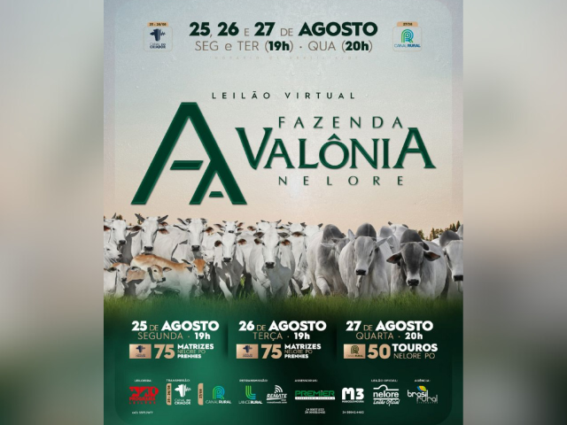 Leilão Virtual Fazenda Valônia Nelore