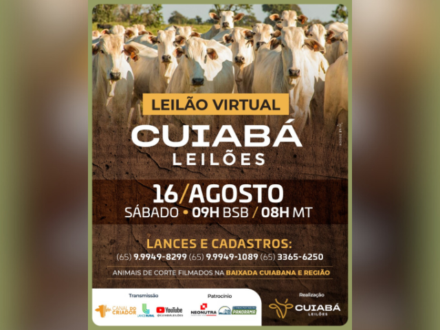 Leilão Virtual Cuiabá Leilões