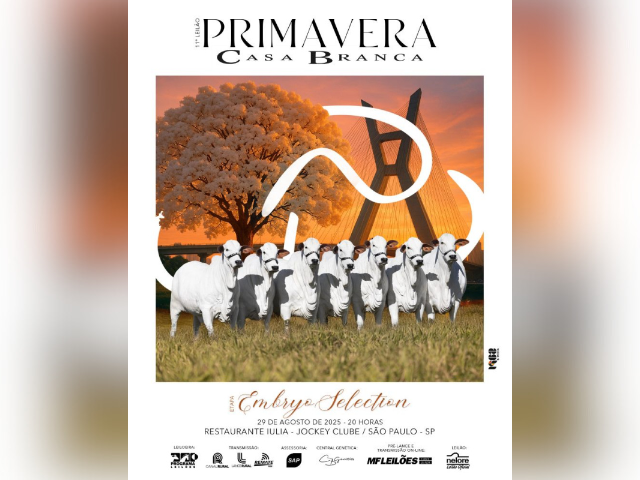 11º Leilão Primavera Casa Branca – Etapa Embryo Selection