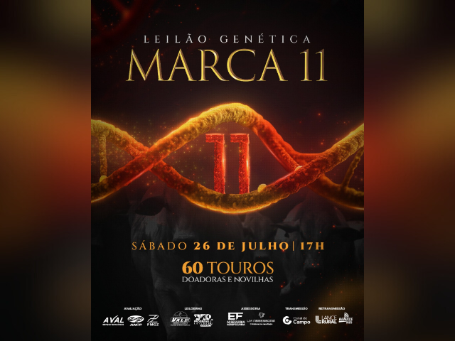 Leilão Genética Marca 11