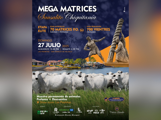 Remate Mega Matrices Sausalito Chiquitani