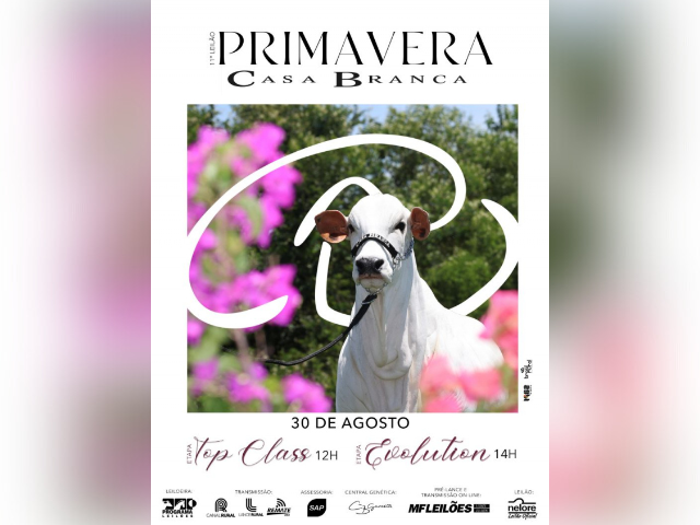 11º Leilão Primavera Casa Branca – Etapa Top Class e Evolution