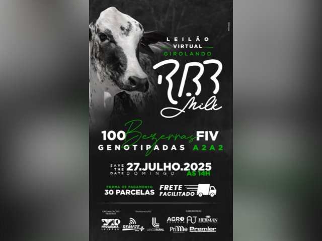 Leilão Girolando RBB Milk