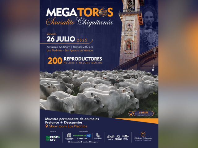 Remate Mega Toros Sausalito Chiquitania