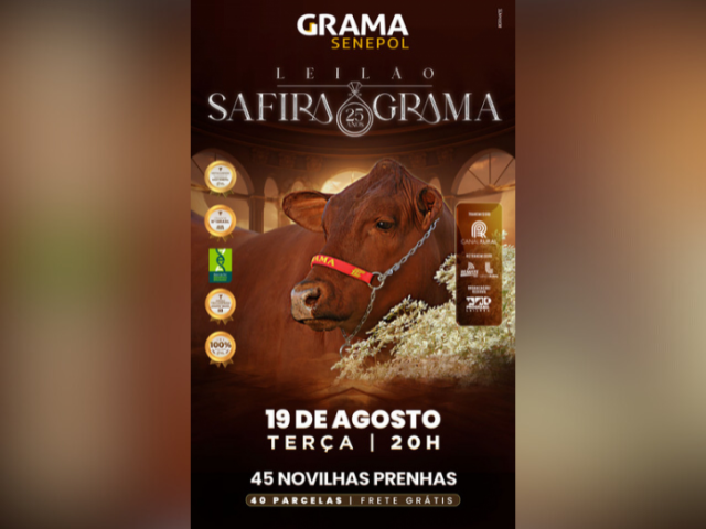 Leilão Safira da Grama – 25 Anos