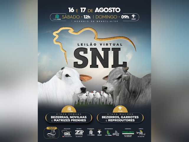 Leilão Virtual SNL – Etapa Fêmeas